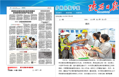 英国上市公司365西北集团珑樾府项目高温慰问——《陕西日报》